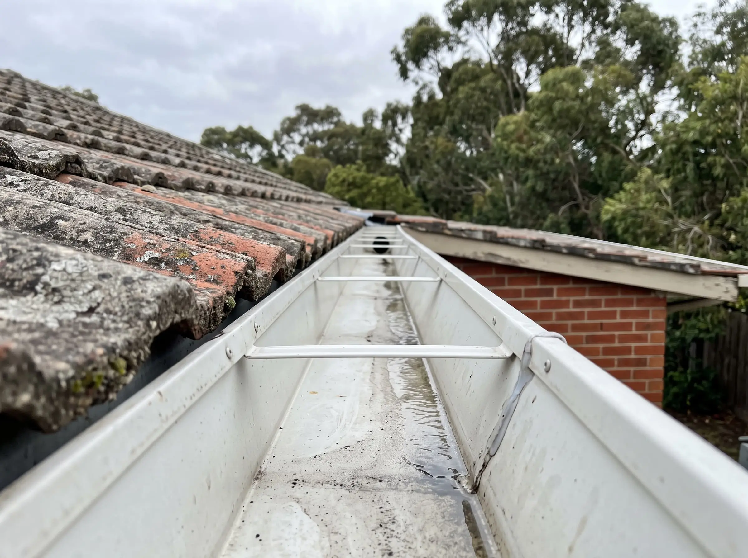 Clean roof gutter and downpipe flushing in Melbourne