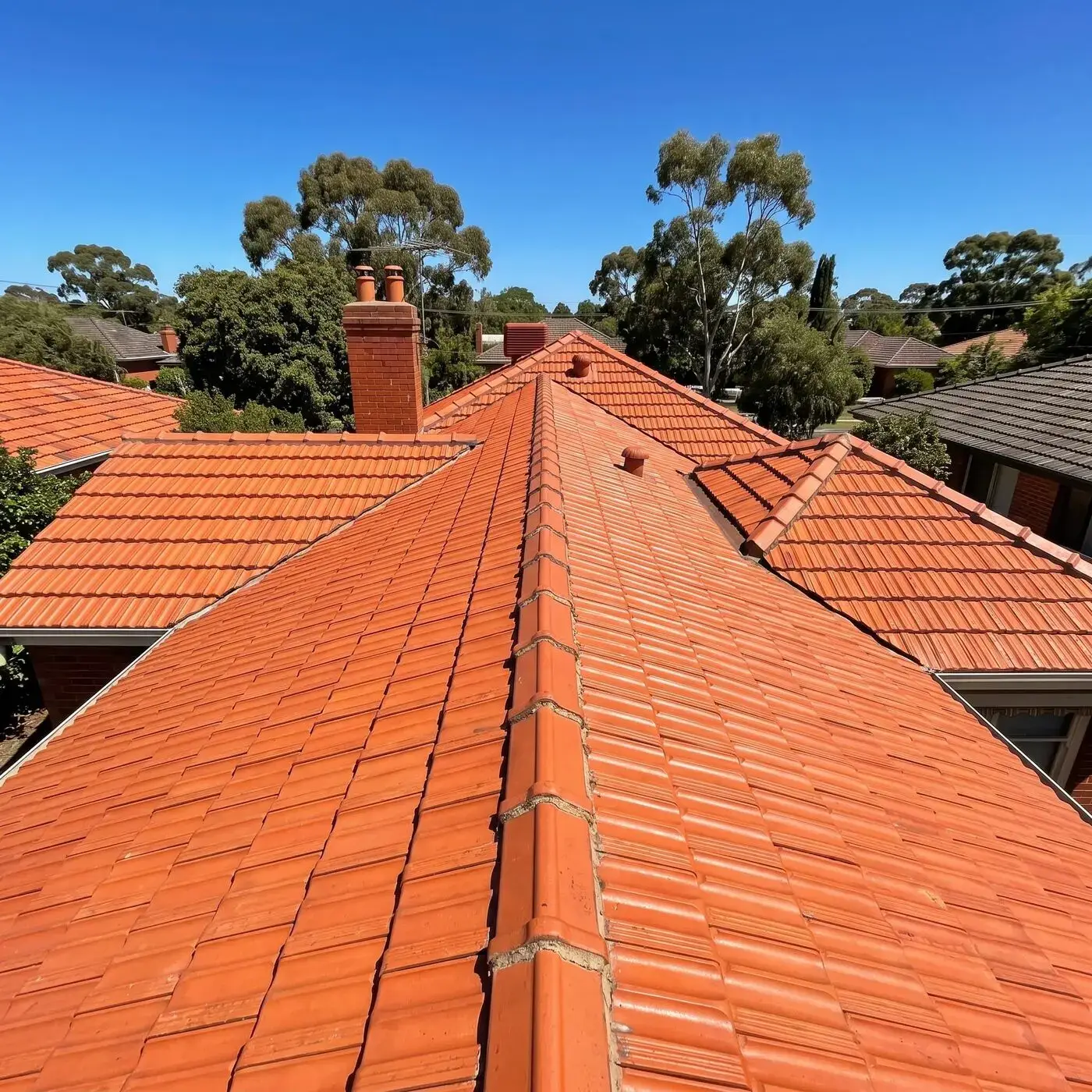 Terracotta roof after cleaning in Melbourne south-east