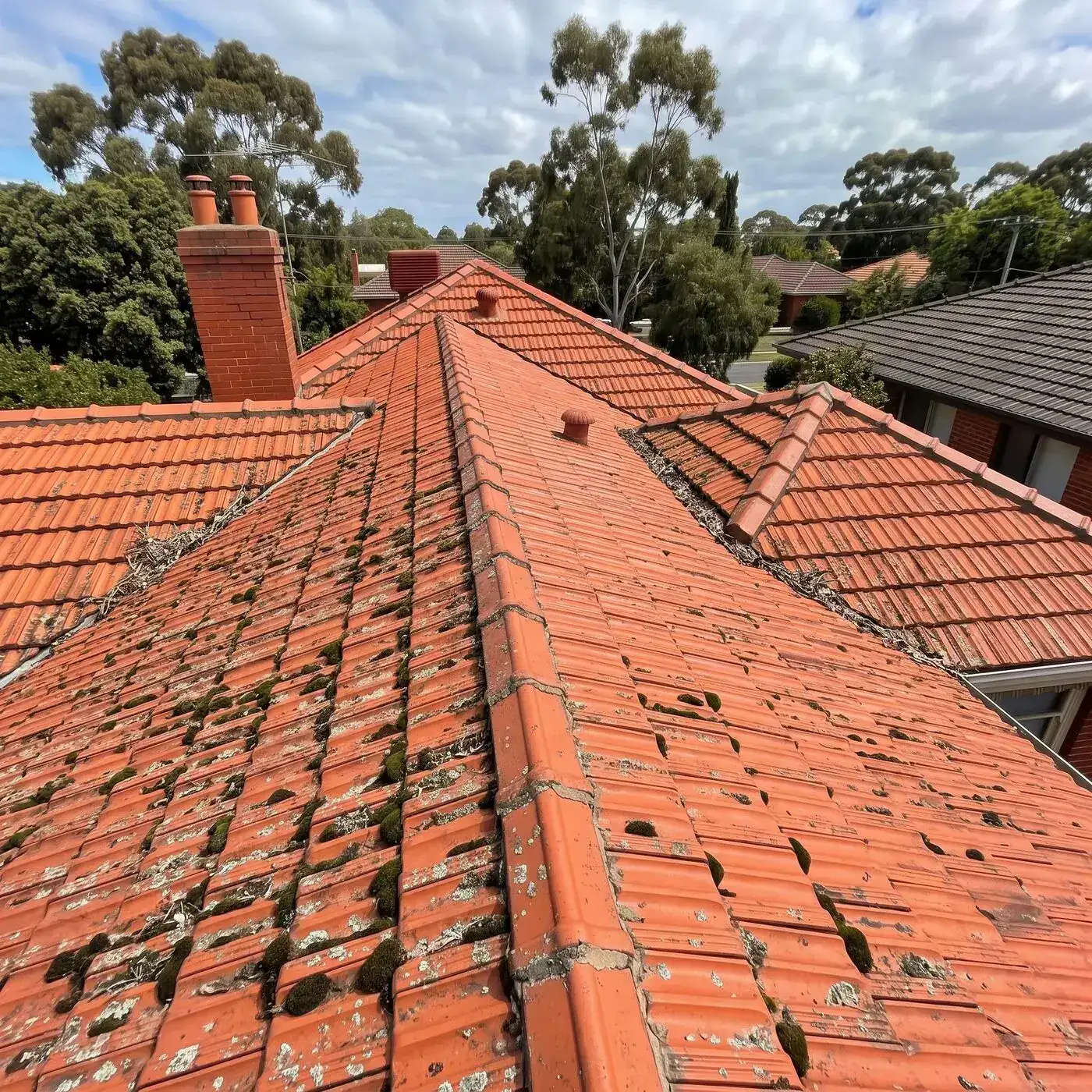 Terracotta roof before cleaning in Melbourne south-east