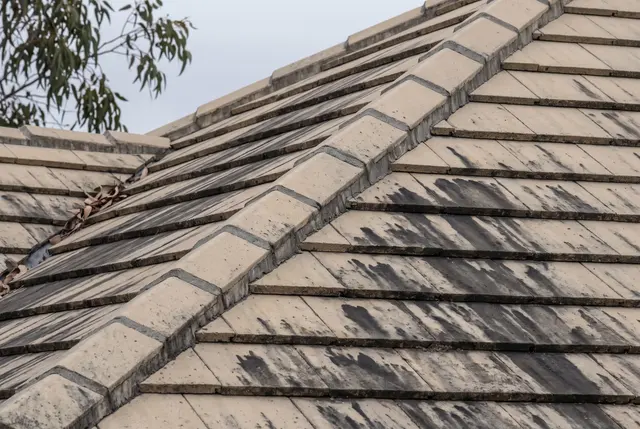 Black algae streaks on roof