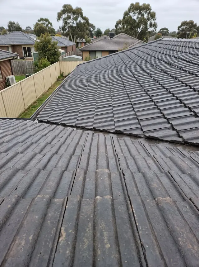 Roof rinse and clear