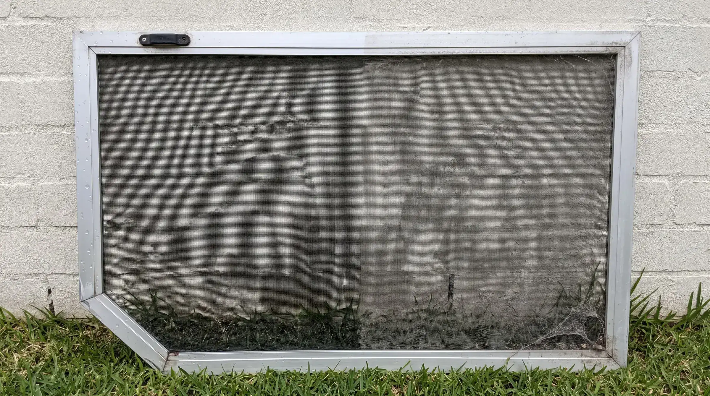 Window flyscreen cleaning